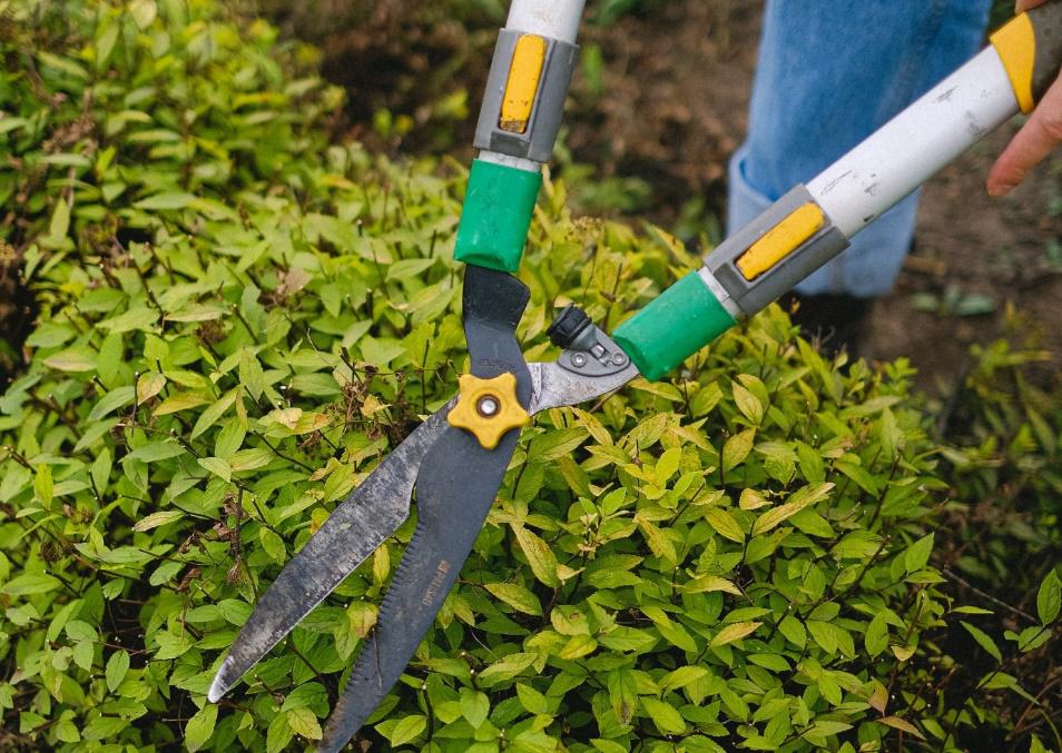 annonce OUVRIER DES ESPACES VERTS - appui-travaillons-ensembles-86130-jaunay-marigny-interim-cdd-cdi-mise-a-disposition-de-personnel-appui86