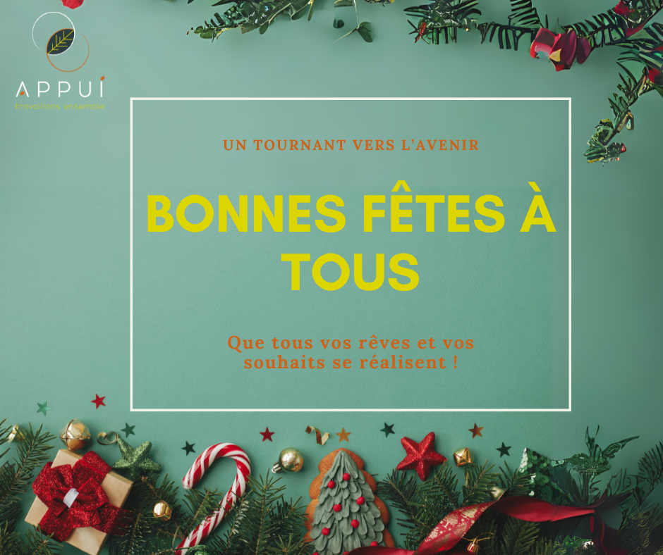 APPUI TRAVAILLONS ENSEMBLE - APPUI 86 (86130 Jaunay-Marigny) vous souhaite de très belles fêtes de fin d'année